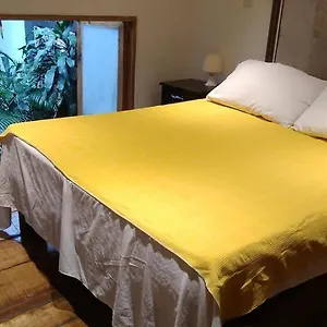 Parrot House San Antonio Apartment