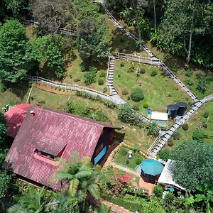 Bosque De Niebla Birding & Nature Lodge